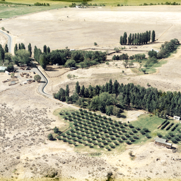 Aerial view of the farm, c. 1985  Photo courtesy Samis Foundation