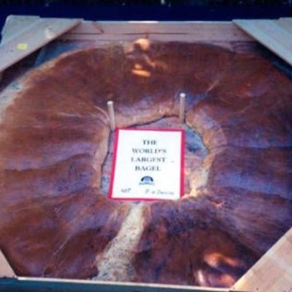 The World's Largest Bagel on Display