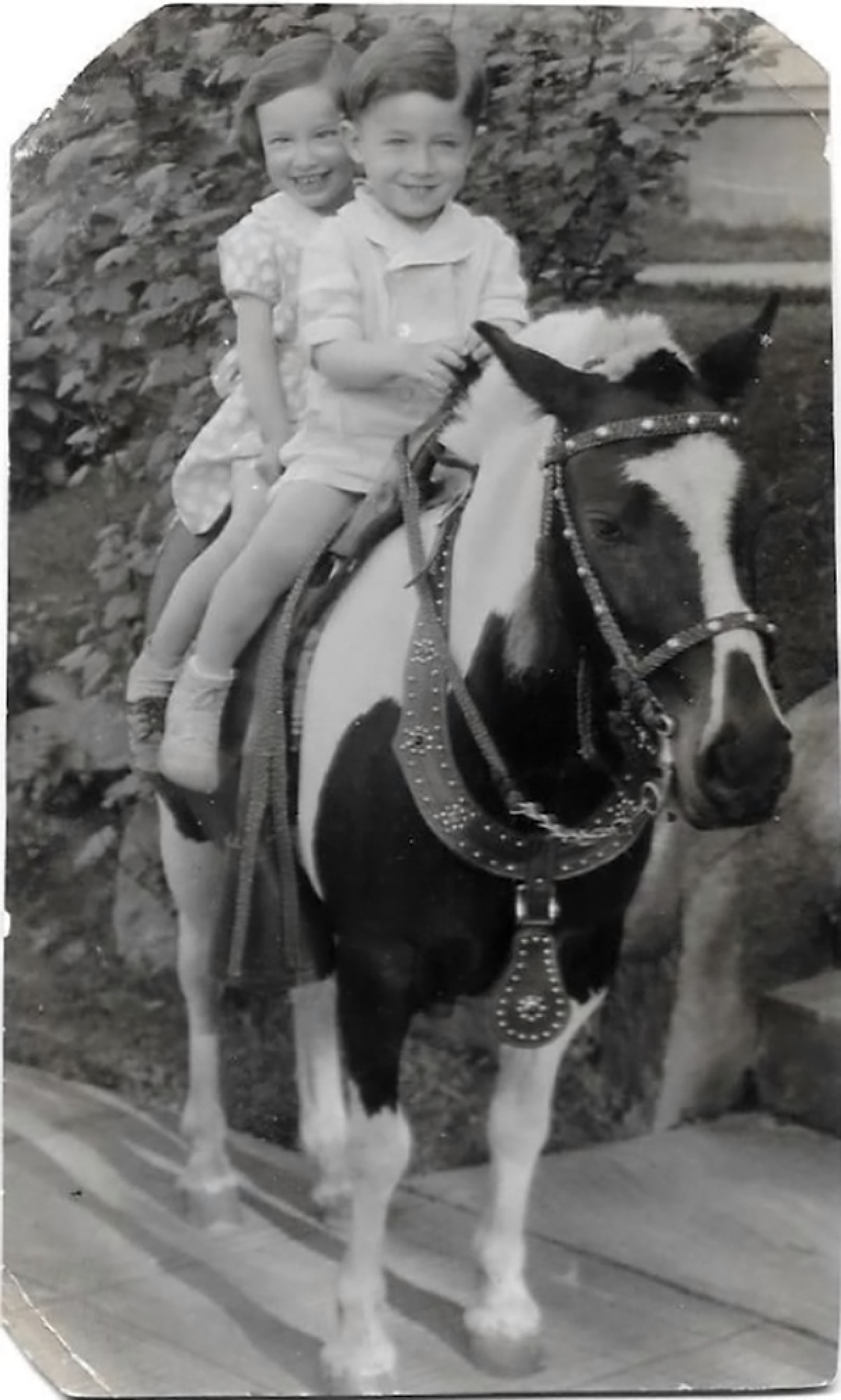 Merle and Joe learn to ride a horse