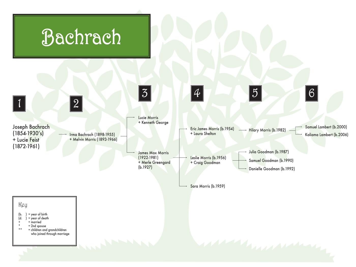 Bachrach (color) 36 x 24.jpg