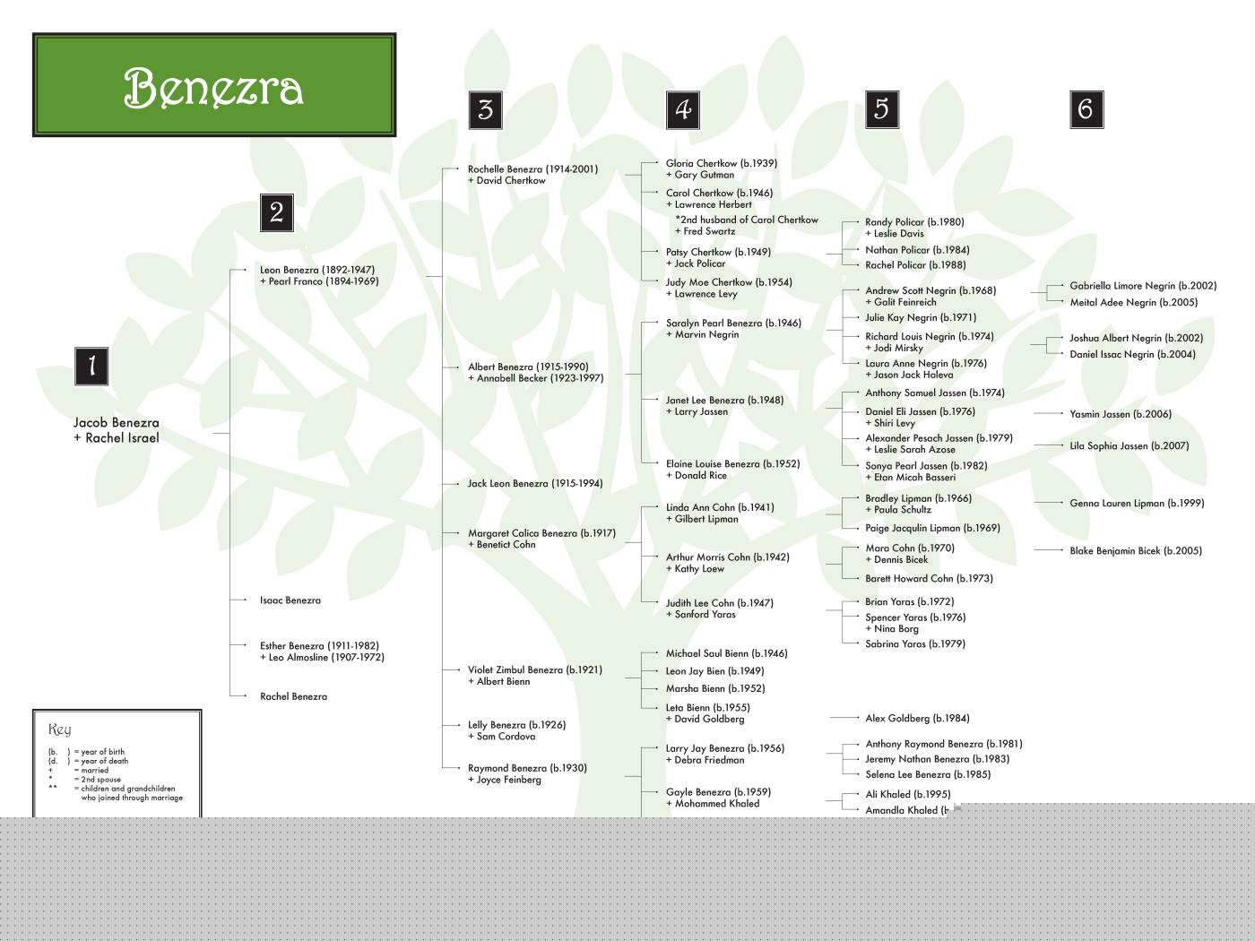 Benezra 0608 (color) 48x36.jpg