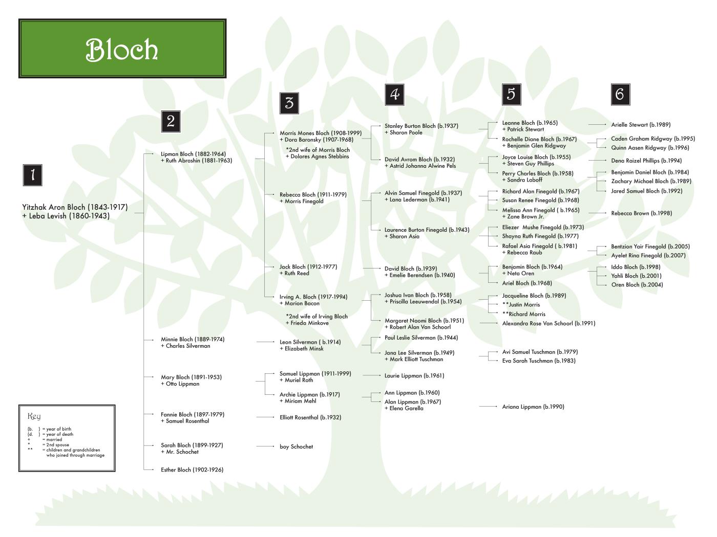 Bloch 0608 (color) 48x36.jpg