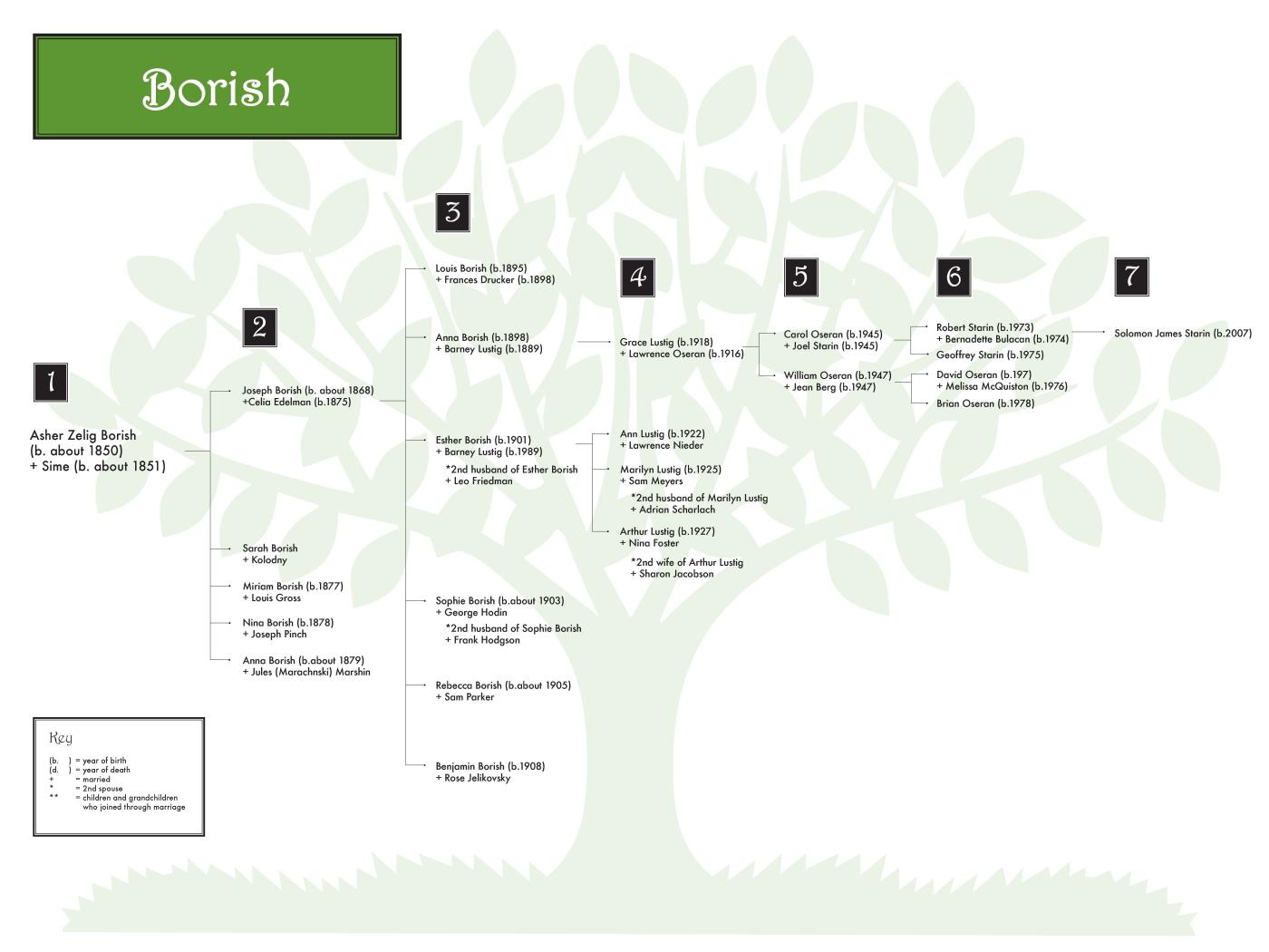 Borish 0608 (color) 48x36.jpg