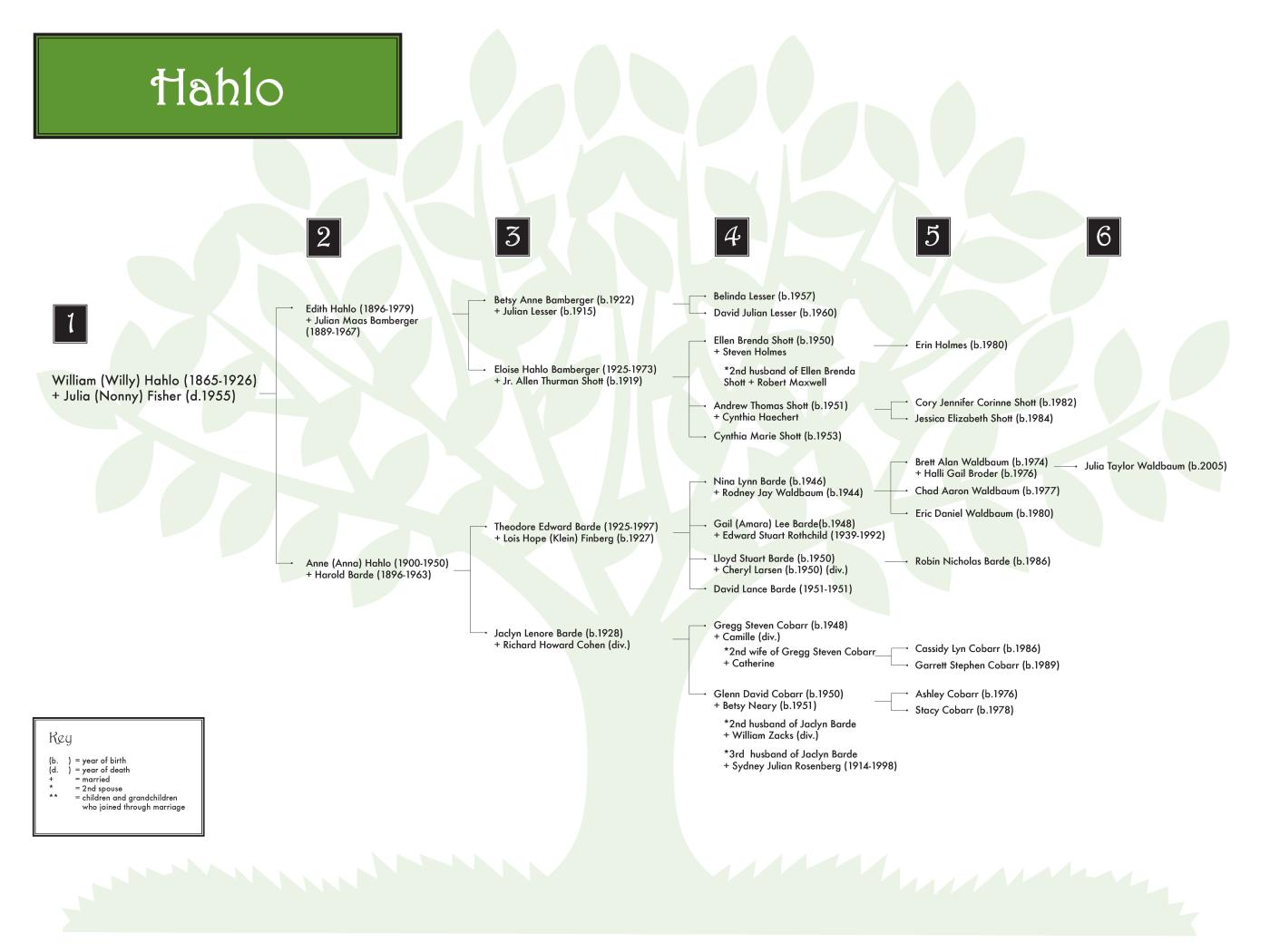 Hahlo 0608 (color) 48 x 36.jpg