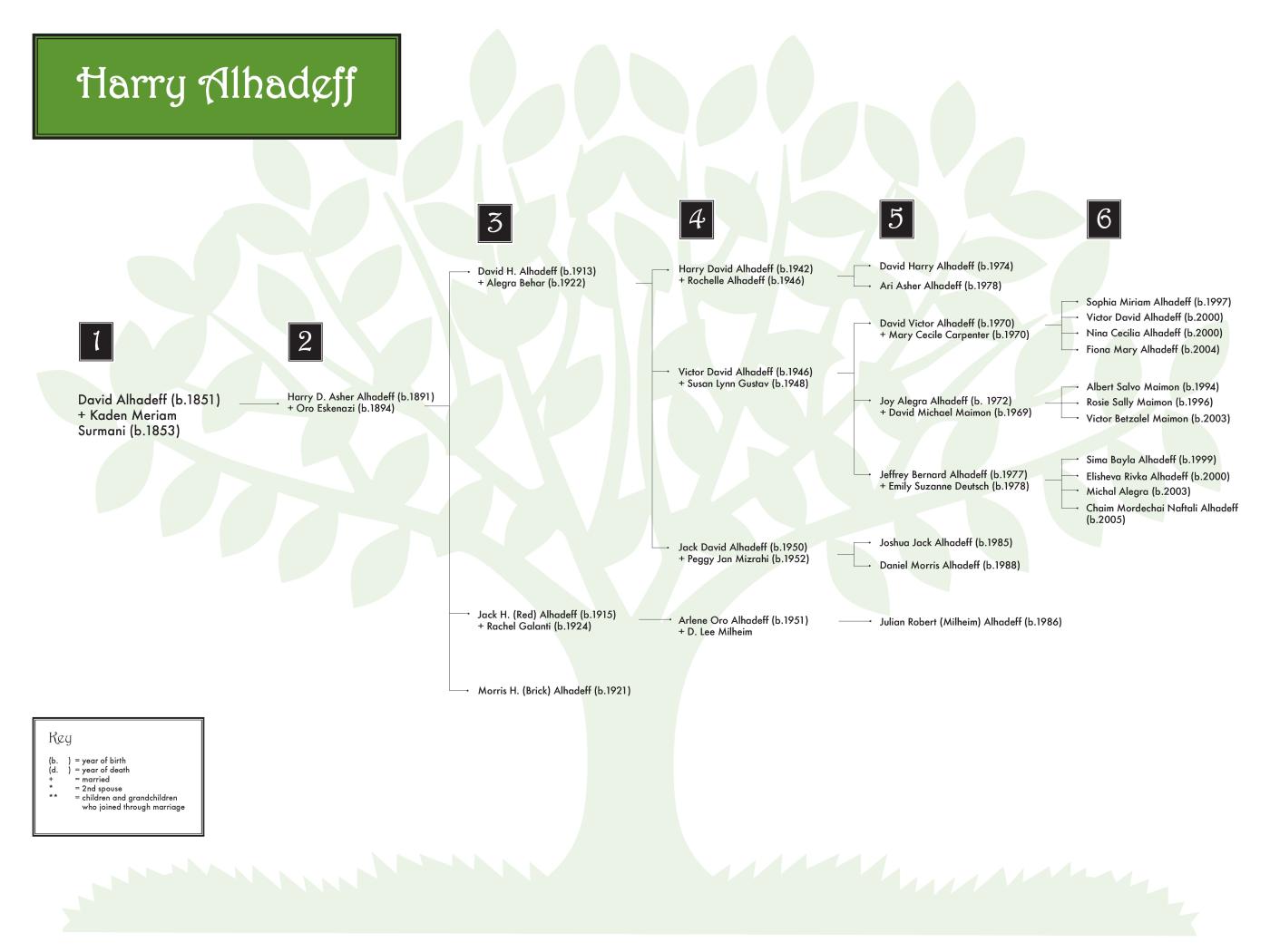 Harry Alhadeff 0608 (color) 48x36.jpg