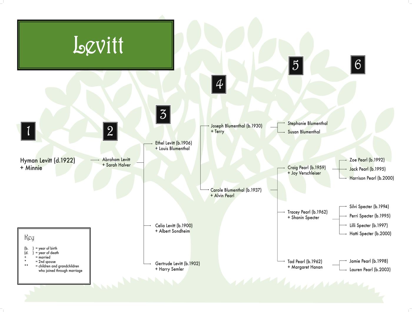 Levitt 08-08 (color) 36 x 24.jpg
