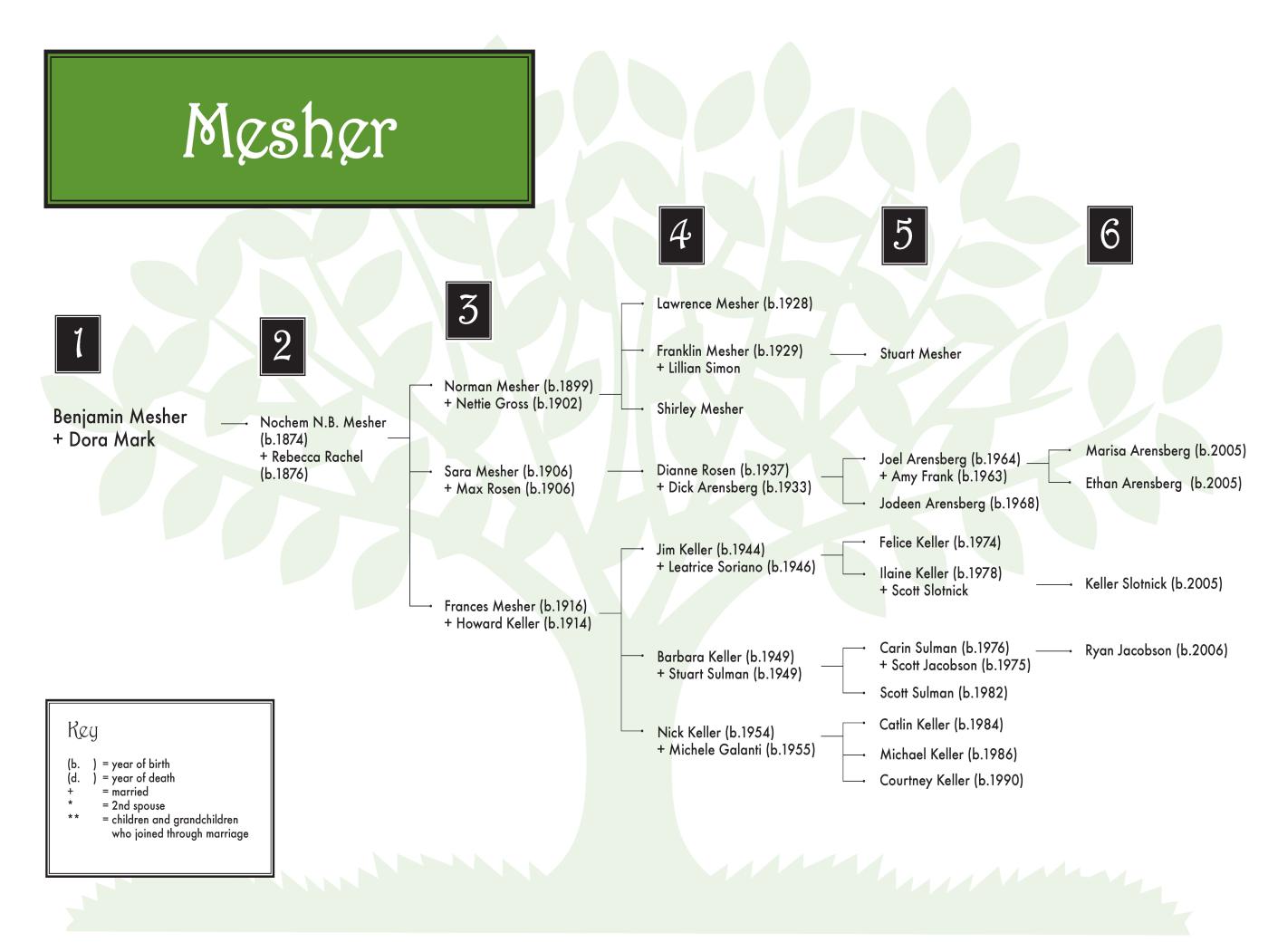 Mesher 0608 (color) 36 x 24.jpg