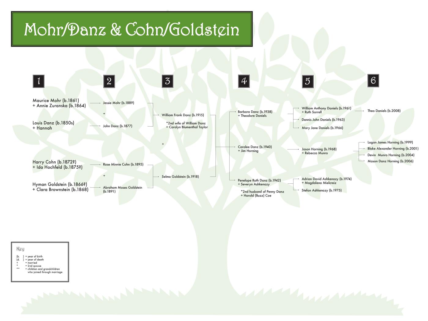 Mohr-Danz & Cohn-Goldstein 0608 (color) 48x36.jpg