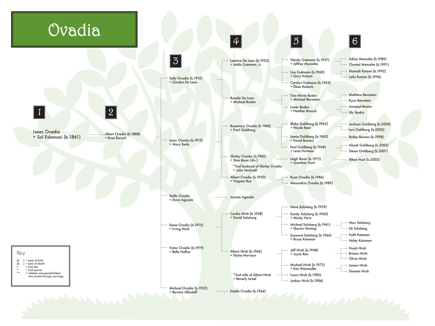 OVADIA 0608 (color) 48 x 36.jpg