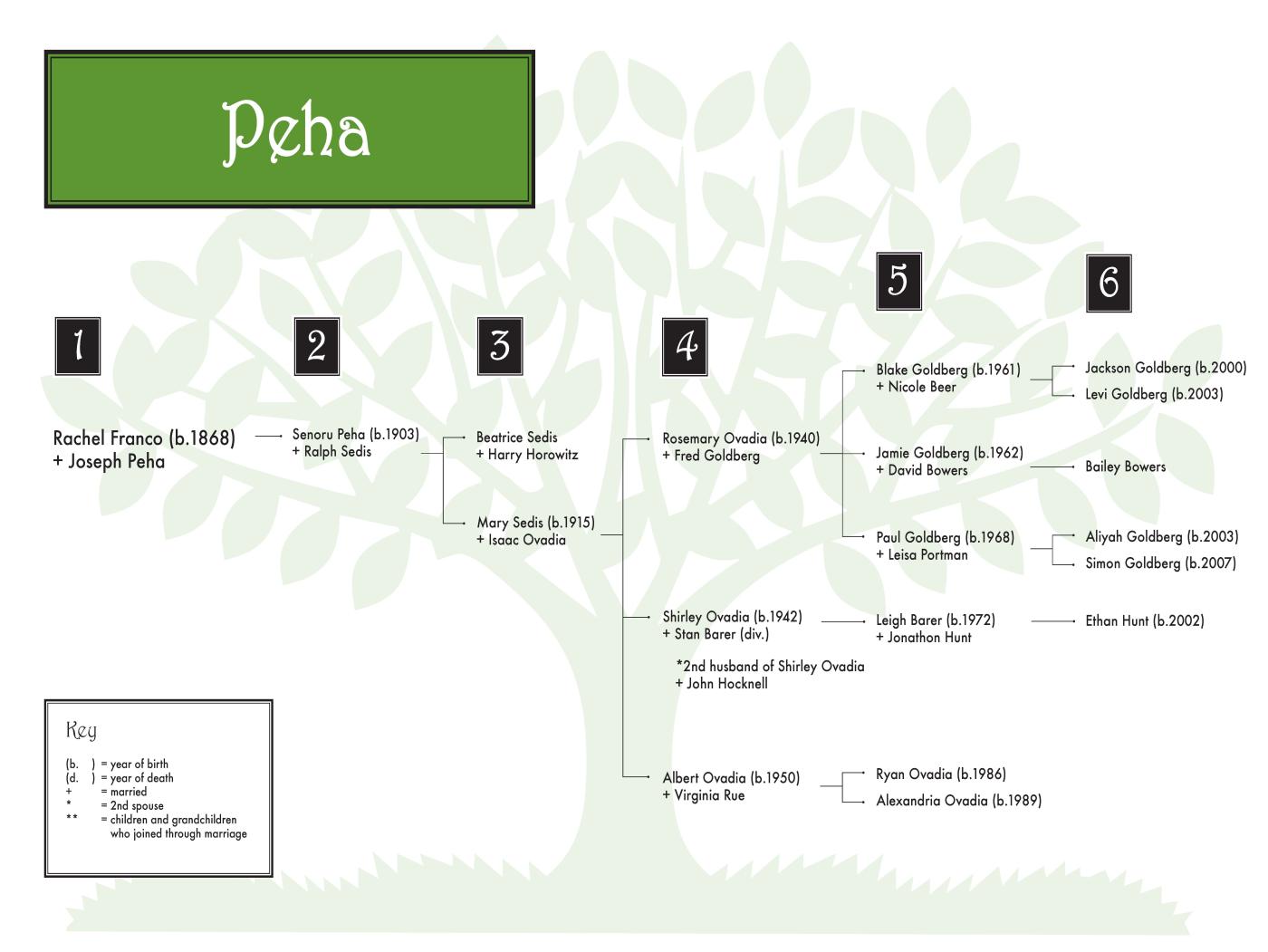Peha (ovadia-Goldberg) 0608 (color) 36 x 24.jpg