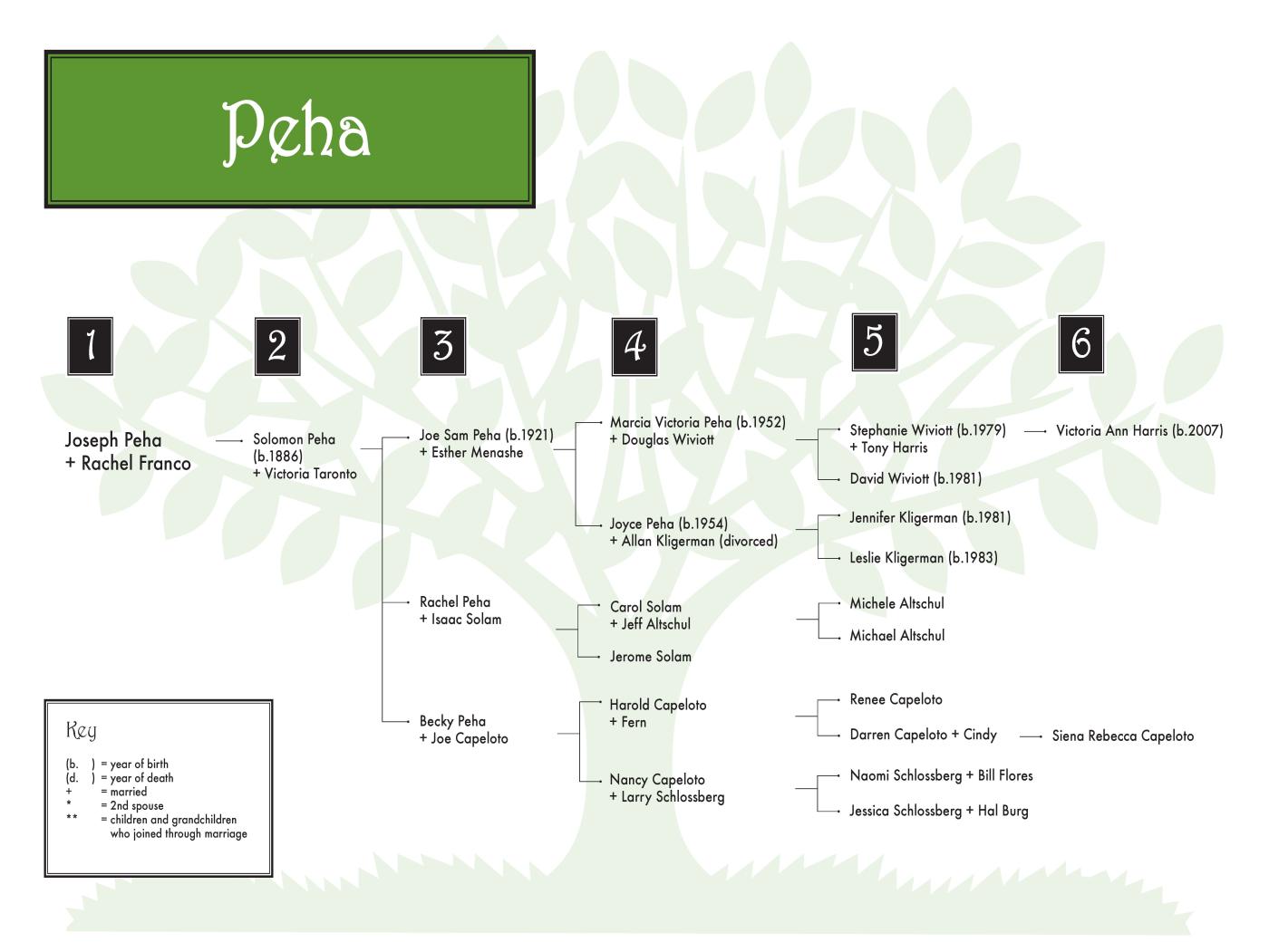 Peha (wiviott-Kling) 0608 (color) 36 x 24.jpg