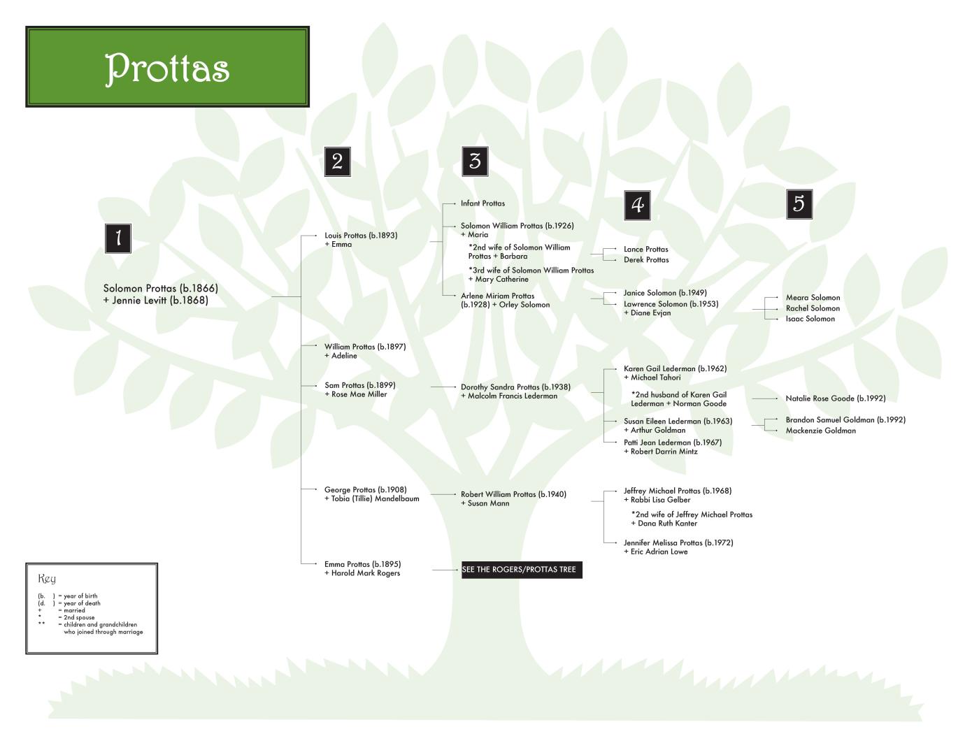 Prottas_1 0608 (color) 48x36.jpg