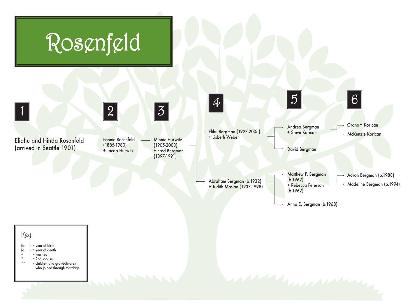 Rosenfeld (bergman) 0608 (color) 36 x 24.jpg