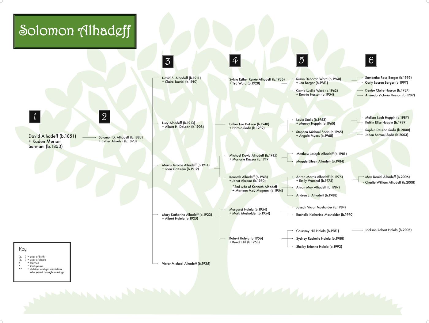 Solomon Alhadeff 0808 (color) 48x36.jpg