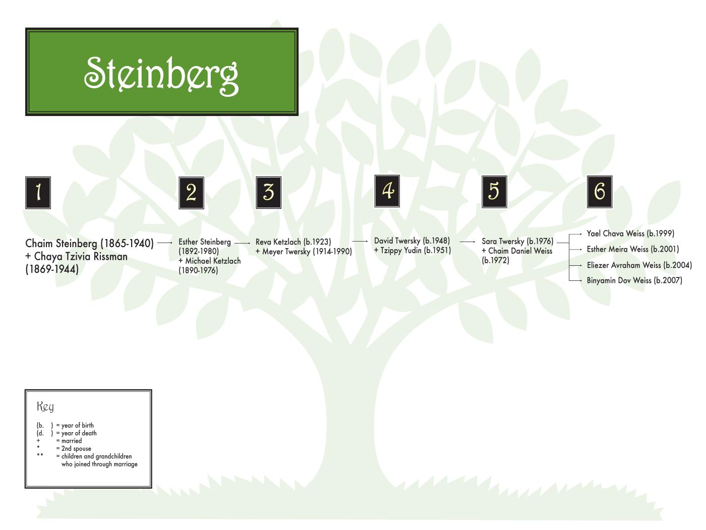 Steinberg (weiss) 0608 (color) 36 x 24.jpg