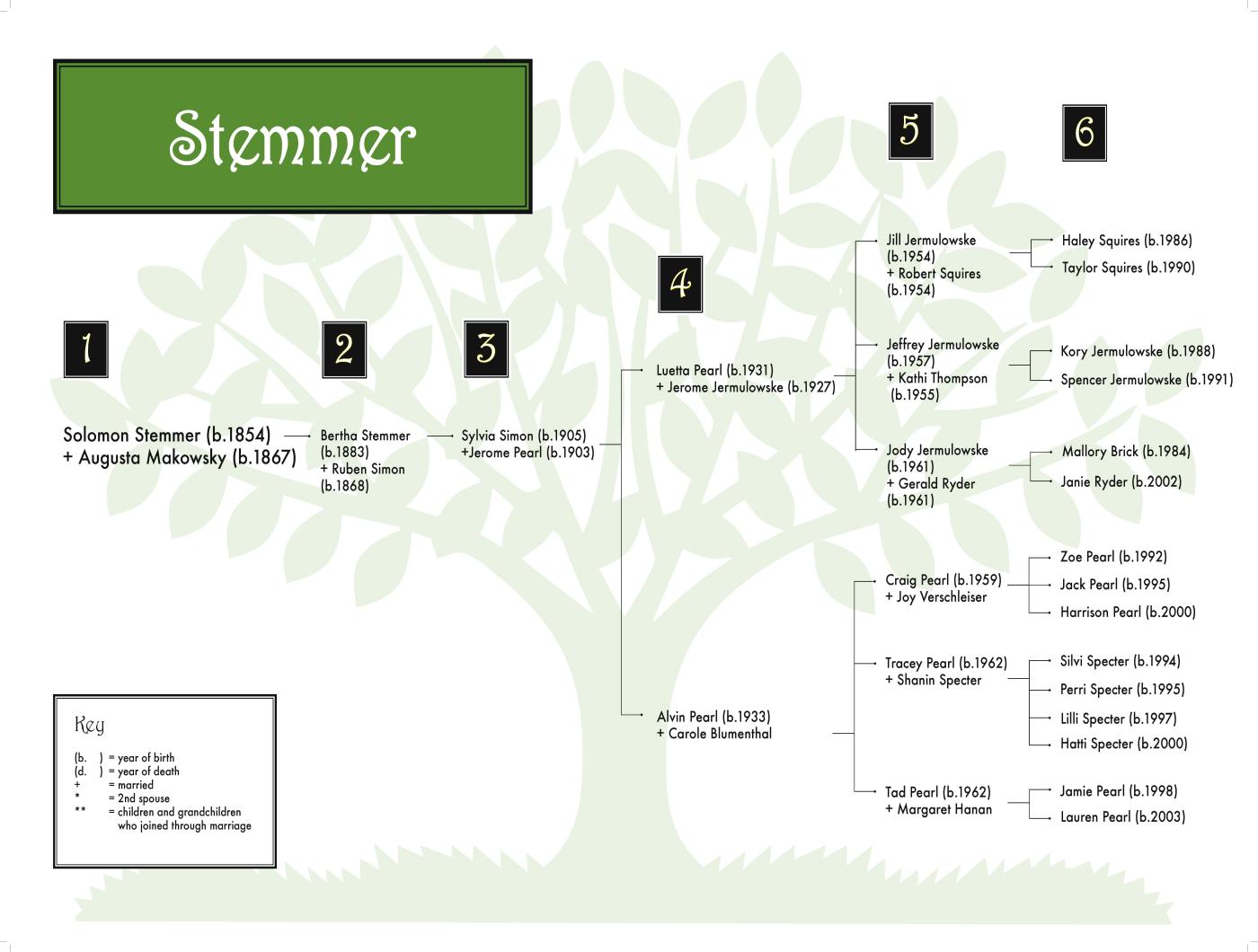 Stemmer 0808 (2) (color) 36 x 24.jpg