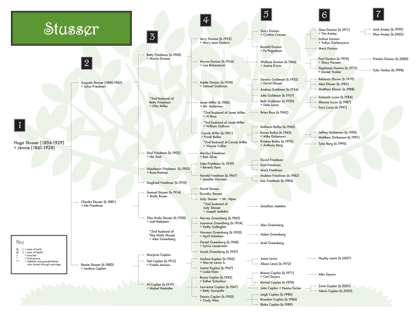 Stusser (friedman) 0608 (color) 48x36.jpg