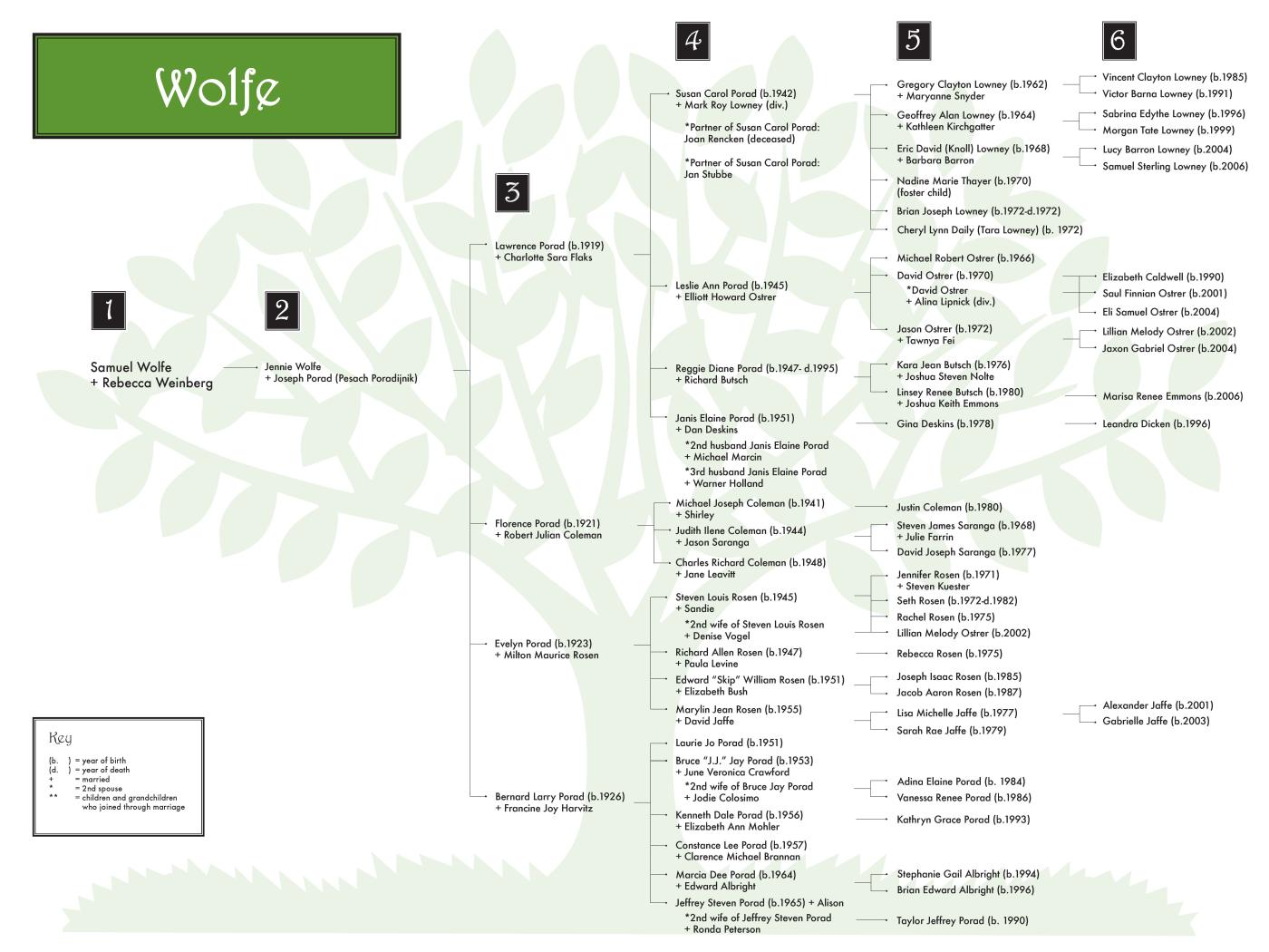 Wolfe 0608 (color) 48x36.jpg