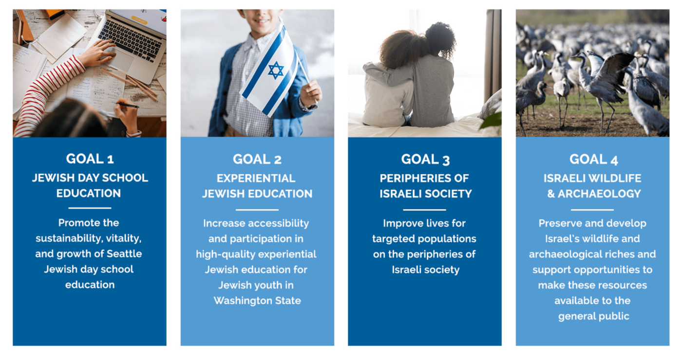 Samis Foundation Strategic Impact Goals