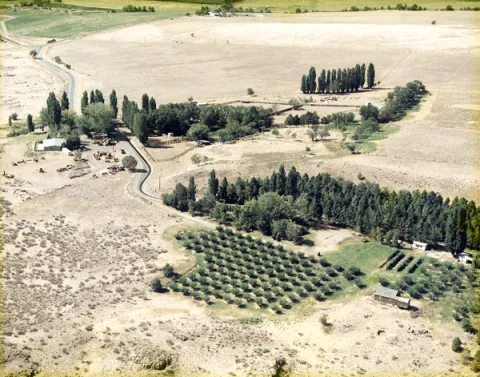 Aerial view of the farm, c. 1985  Photo courtesy Samis Foundation